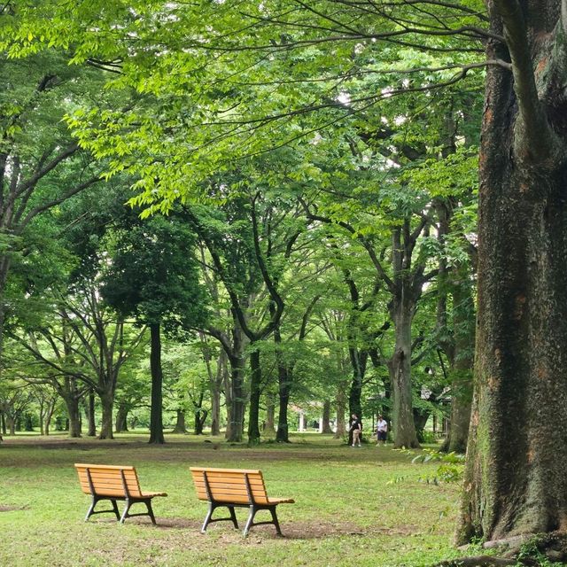 東京都心最大嘅公園：代代木公園隨意遊