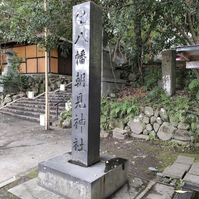 【大分観光】別府パワースポット🌳