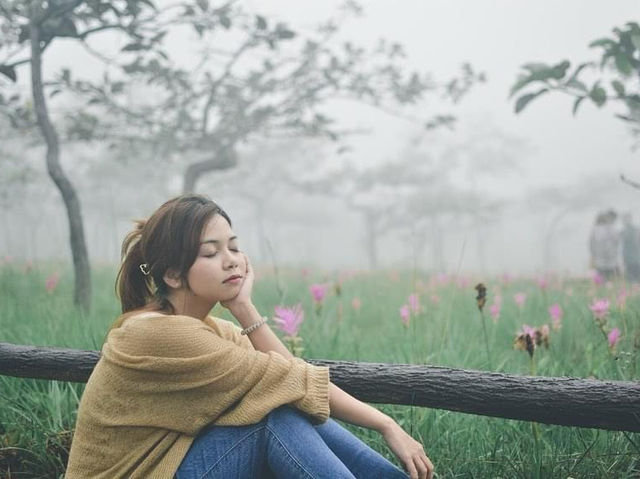 หยิบหมอกหยอกดอกกระเจียว 🌷 at ชัยภูมิ