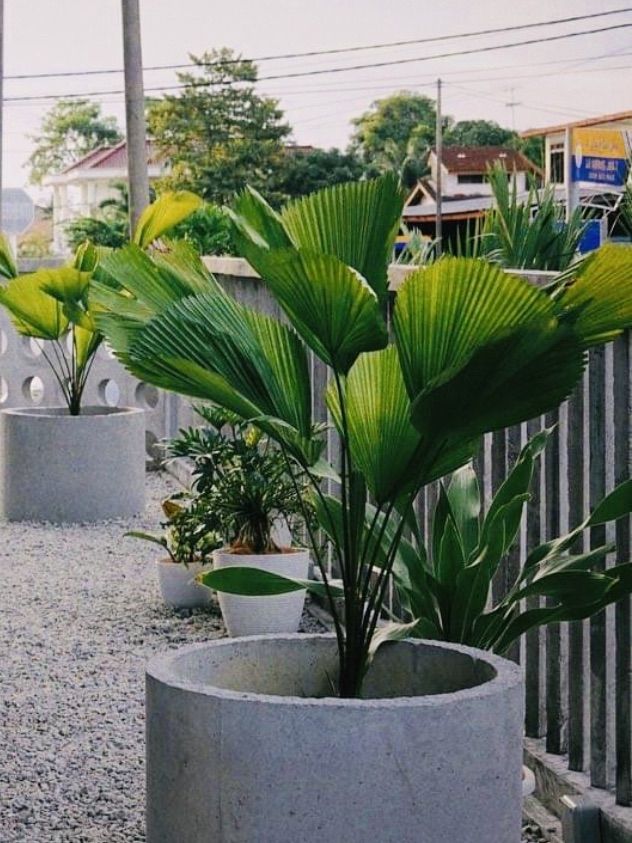 cozy greenery cafe🍰☕️🧁🍹….@BP