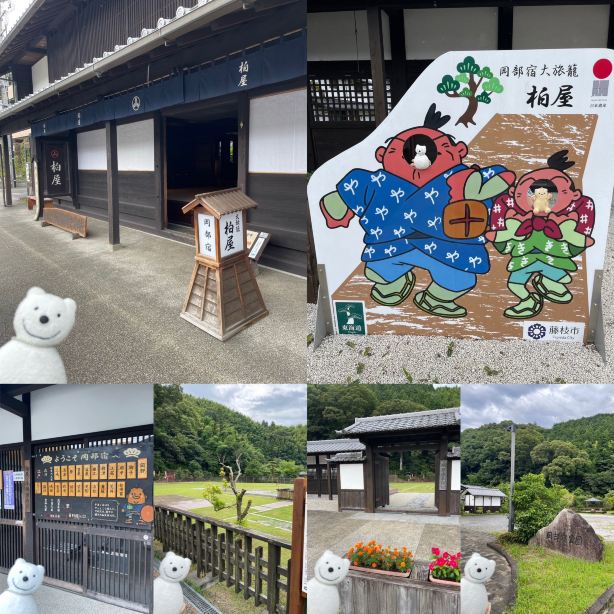 Bear Walk: A well-behaved bear appears in Okabejuku Park | Trip