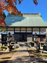 【東京都/小川寺】小平で美しい庭園が見られる寺院
