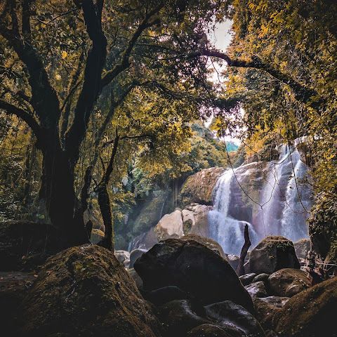 Bengoh Dam: Nature Oasis!