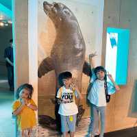 🐬🍨日本福岡 不能錯過的水族館餐廳😍