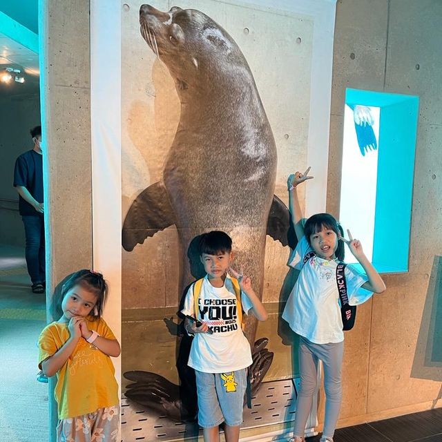 🐬🍨日本福岡 不能錯過的水族館餐廳😍