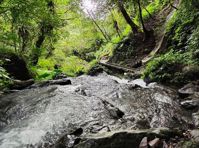 台灣小百岳-宜蘭礁溪🌿抹茶山（三角崙山）