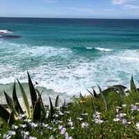 amazing Sydney beach Australia 