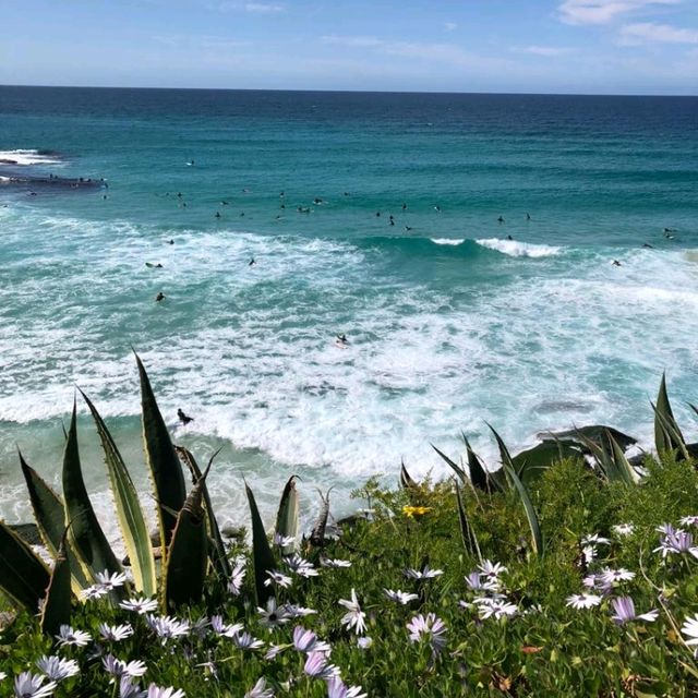 amazing Sydney beach Australia 