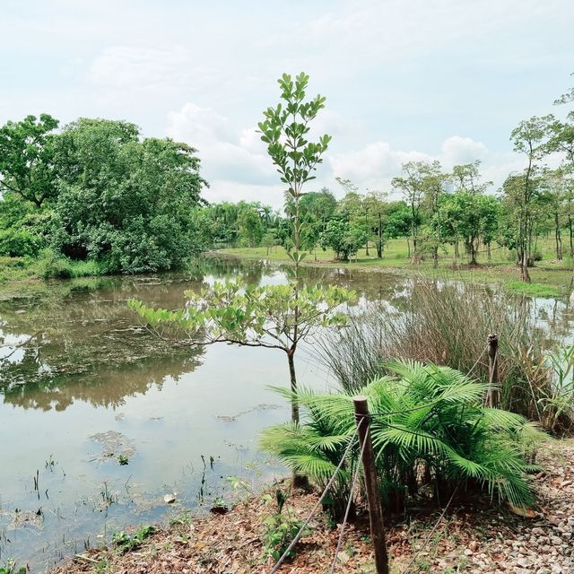 Jurong Lake Gardens: Nature, Play, Learn