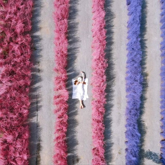 𝙈𝙚𝙢𝙤𝙧𝙮 𝙃𝙤𝙪𝙨𝙚 𝘾𝙖𝙛𝙚 - สามพราน