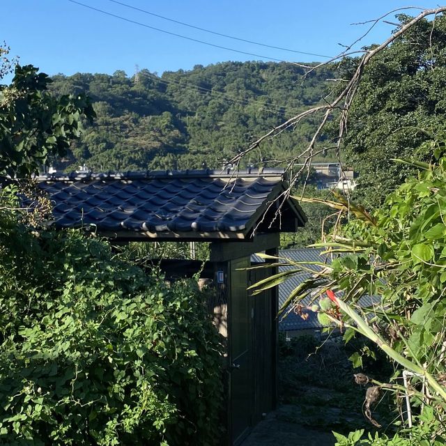 廣源記圳步道🐕