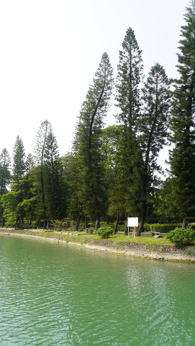 🏞️ 高雄澄清湖一日遊 🗺️