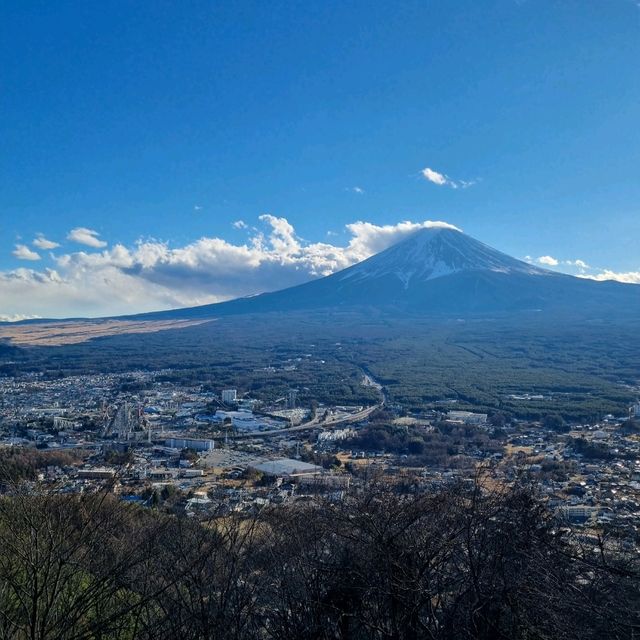 후지산을 제대로 보고싶은 분 주목📷