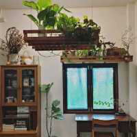 เจอ Stay with Tree Cafe🌿