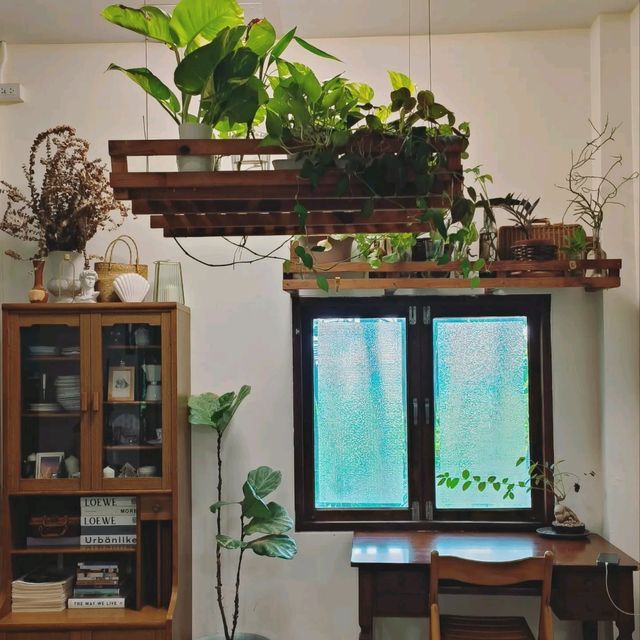 เจอ Stay with Tree Cafe🌿