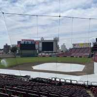 Experience Baseball in Japan 