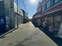 【福井】現存天守の丸岡城と東尋坊