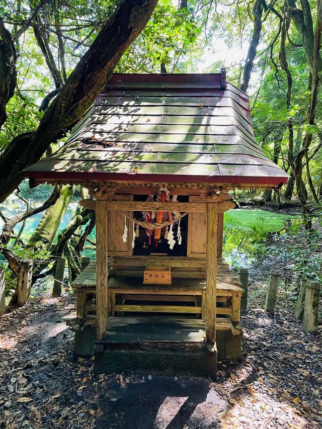 【山形県/丸池神社】2023年行ってよかった！山形県の神社③