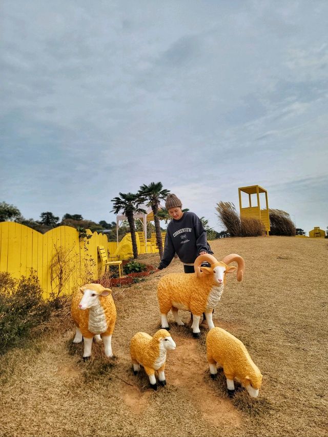 바다산책로도 노랑버덩도 멋진 바람의핫도그🌭