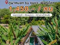 💚 ที่พักวิวสวยจึ้ง #พิษณุโลก ภูผาหมอก 