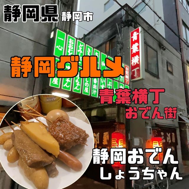 青葉横丁【静岡県/静岡市】