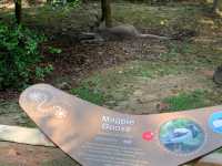 Singapore Zoo, Great Experience 