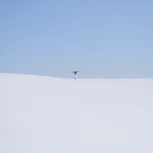 풍차와 함께 하얀눈밭이 가득한 삼양목장❄️