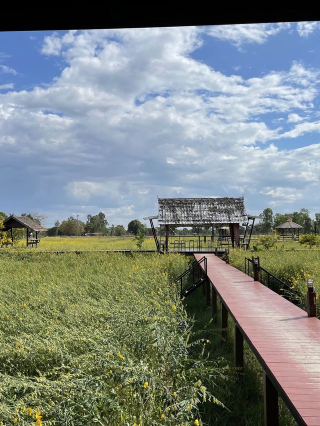 บุรีรัมย์จังหวัดที่ไม่ได้ตั้งใจมาแต่ดีมาก