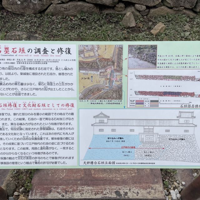 彥根城