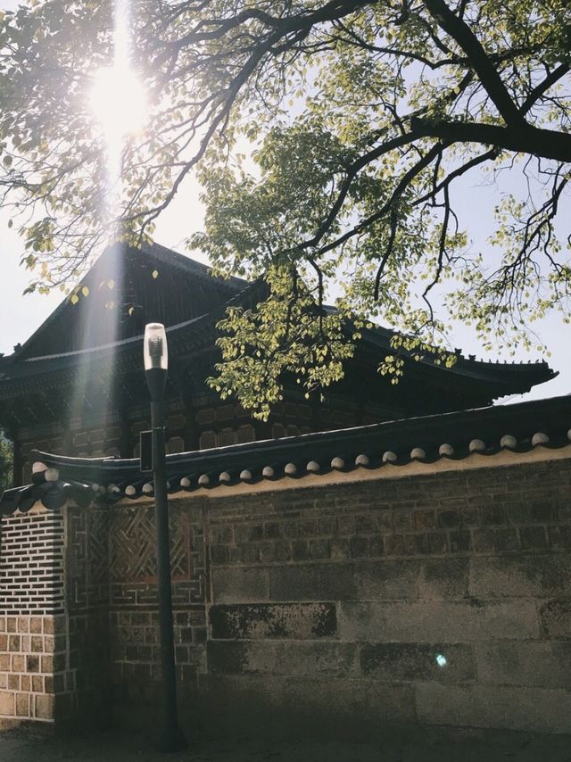 궁안에 서양의 건축양식을 가진 곳이 있다고? ‘덕수궁’ 을 소개합니다❤️