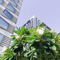 網美必拍泳池👙📍Humble House Hotel 寒舍艾麗酒店 