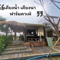 หลบร้อน​ มาผ่อนคลายที่ฟาร์มคาเฟ่​ บุรีรัมย์