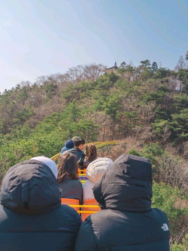 아이랑 함께하는 이색체험 리프트&모노레일 "지산유원지"