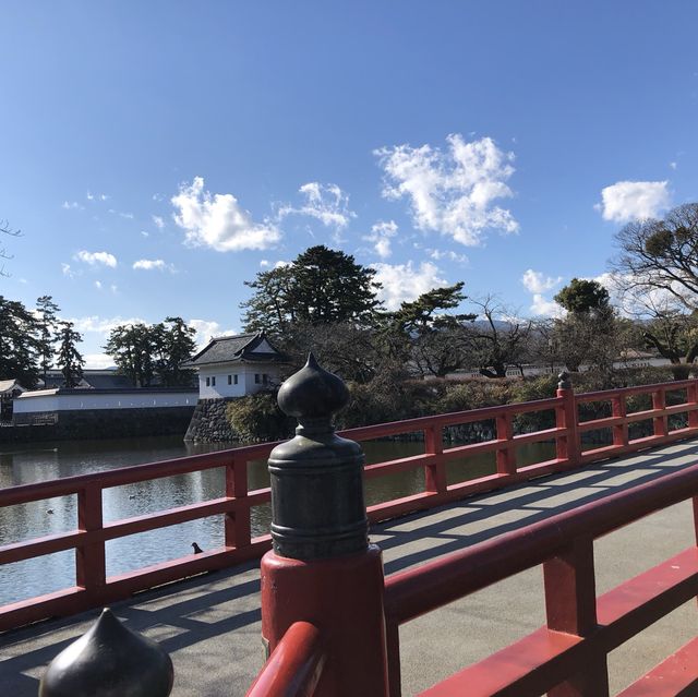 毗鄰東京的中世紀城堡🏯小田原城