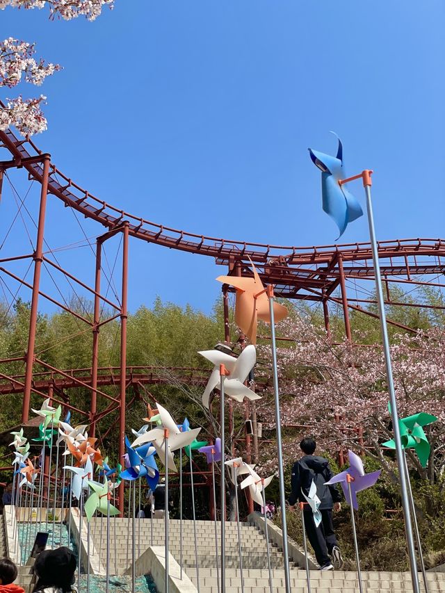 김해 벚꽃 명소, SNS 핫플 가야랜드🎡