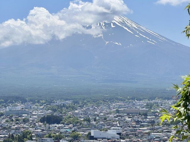 富士山美拍景點｜新倉山浅間公園，要早一點來要不然超多人