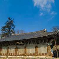 피크닉을 즐기기에 좋은 공주 절 여행 마곡사