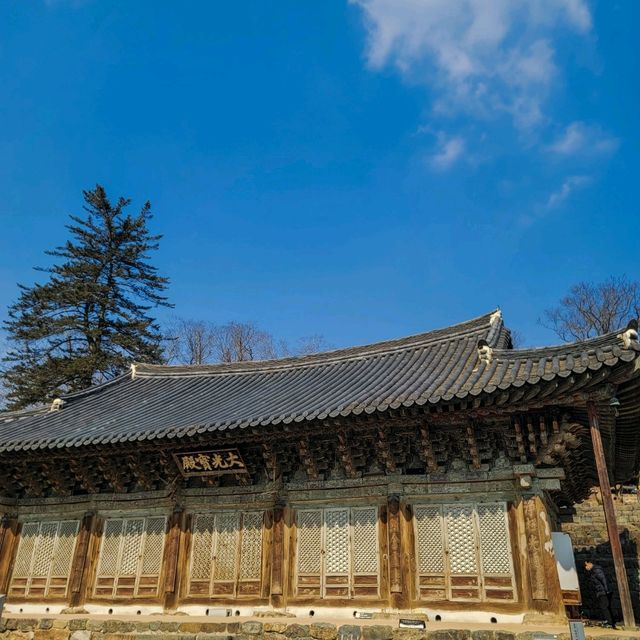 피크닉을 즐기기에 좋은 공주 절 여행 마곡사
