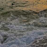 หาดสุรินทร์ ภูเก็ต