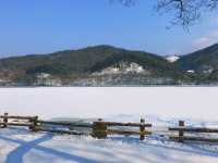 《首爾》冬季戀歌的拍攝地 唯美雪景南怡島 