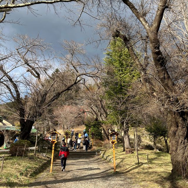 《河口湖富士山之旅🗻🇯🇵》