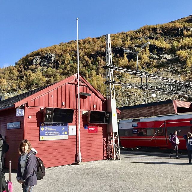 Myrdal Train Station - Myrdal, Norway