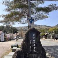 東京近郊賞櫻地推介 - 長瀞川