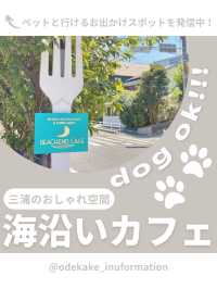 【神奈川】わんこと行ける海沿いカフェ🪸