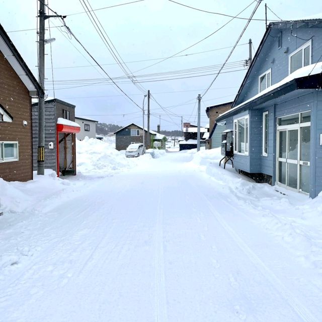 【北海道】冬の利尻島❄️絶景の島