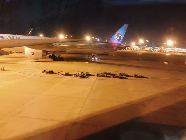 桃園｜✈️搭荷蘭航空飛荷蘭💙我愛荷蘭航空🇳🇱
