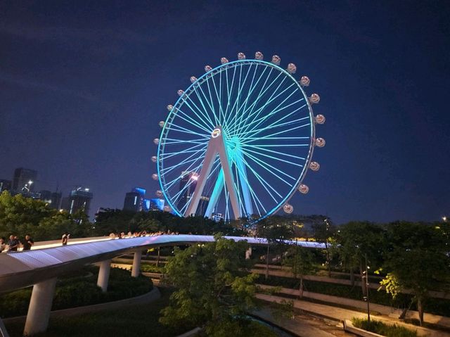 深圳首座大型摩天輪