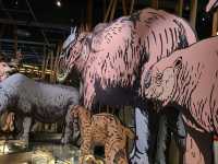 科學館古生物恐龍展