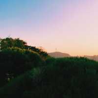 단풍지는 🌳낙산공원 성곽길 🌳에서 없는 감수성도 끌어올려~