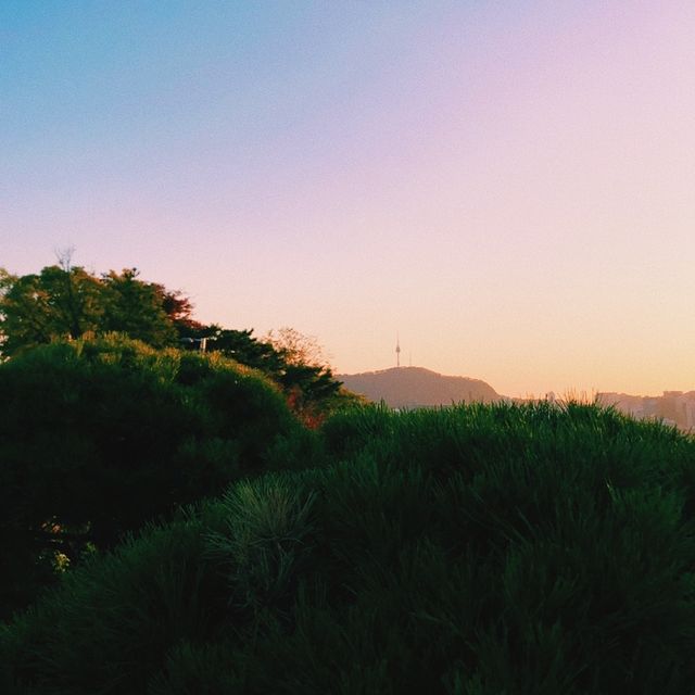 단풍지는 🌳낙산공원 성곽길 🌳에서 없는 감수성도 끌어올려~